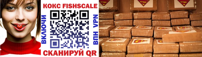 Cocaine Fish Scale  купить наркоту  Алзамай 