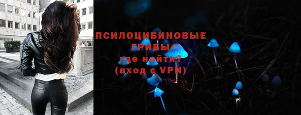 2c-b Алзамай