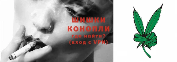 ГАЛЛЮЦИНОГЕННЫЕ ГРИБЫ Алексеевка