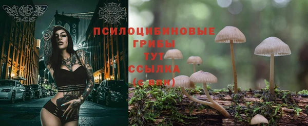 спайс Осташков