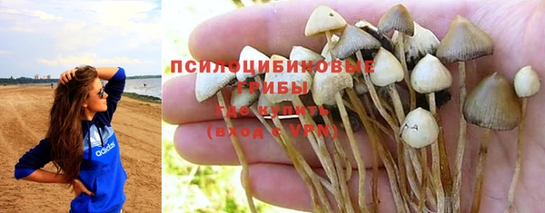 Альфа ПВП Алексин